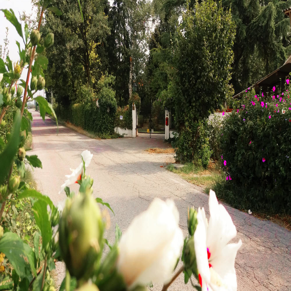 Villa Maria Sole Revello Bagian luar foto