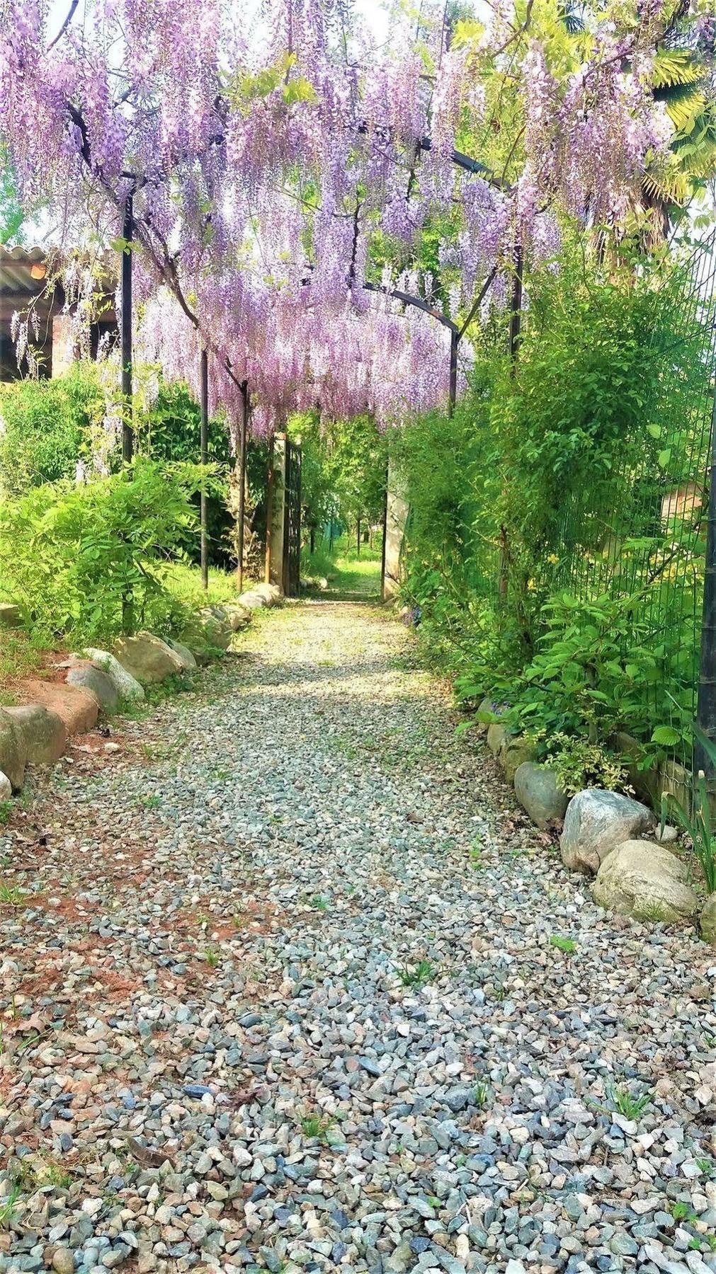 Villa Maria Sole Revello Bagian luar foto